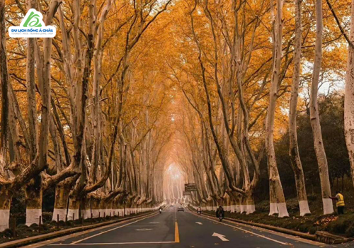 TOUR TRUNG QUỐC: NAM KINH - THƯỢNG HẢI - HÀNG CHÂU - Ô TRẤN 5 NGÀY 5 ĐÊM